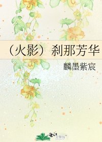 《(火影)刹那芳华》