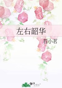 《左右韶华》