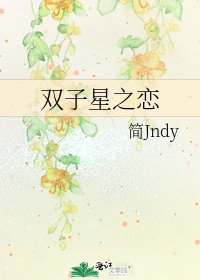 《双子星之恋》