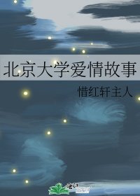 《北京大学爱情故事》