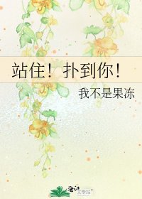 《站住!扑到你!》