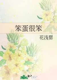 笨蛋很笨