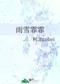 《雨雪霏霏》