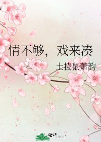 《情不够,戏来凑》