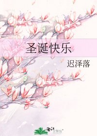 《圣诞快乐》