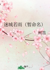 《迷城若雨(暂命名)》