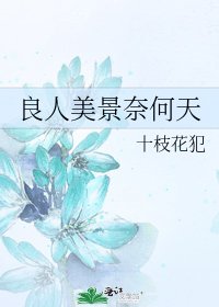 《良人美景奈何天》