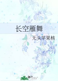 《长空雁舞》