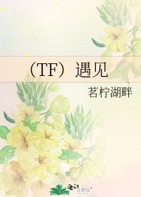 《(TF)遇见》