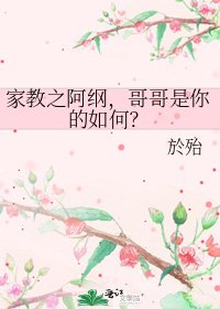 《家教之阿纲,哥哥是你的如何?》