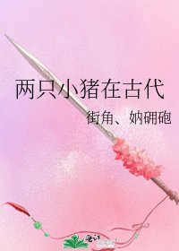 《两只小猪在古代》