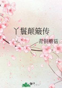 《丫鬟颠簸传》