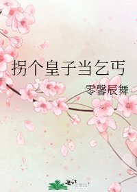《拐个皇子当乞丐》