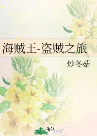 《海贼王-盗贼之旅》