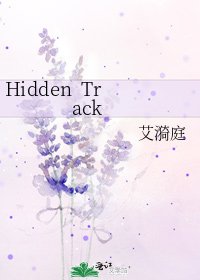 《Hidden Track》