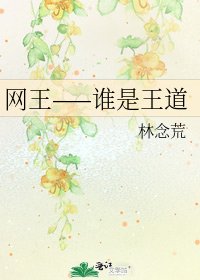 《网王——谁是王道》