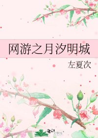 《网游之月汐明城》