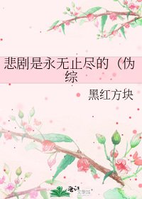 《悲剧是永无止尽的(伪综》