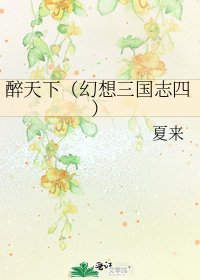 《醉天下(幻想三国志四)》
