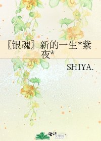 《〖银魂〗新的一生*紫夜*》