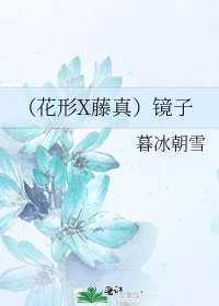 《(花形X藤真)镜子》