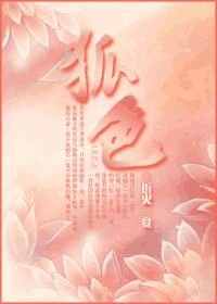 狐色/公主闯秦关