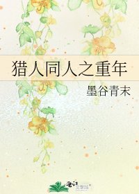 《猎人同人之重年》