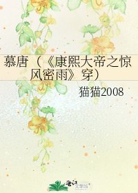 《康熙大帝之惊风密雨》