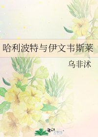 哈利波特与伊文韦斯莱