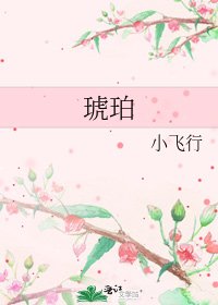 《琥珀》