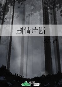 《剧情片断》