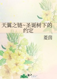 《天翼之链~圣诞树下的约定》