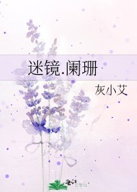 《迷镜.阑珊》