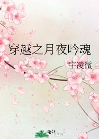 《穿越之月夜吟魂》
