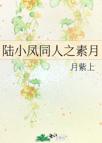 《陆小凤同人之素月》