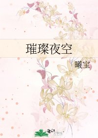 璀璨夜空