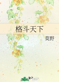《格斗天下》