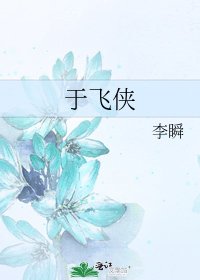 《于飞侠》