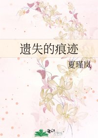 《遗失的痕迹》