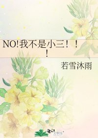 《NO!我不是小三!!!》