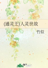 (通灵王)人灵世故