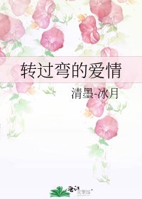 《转过弯的爱情》