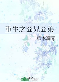 《重生之囧兄囧弟》