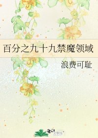 《百分之九十九禁魔领域》