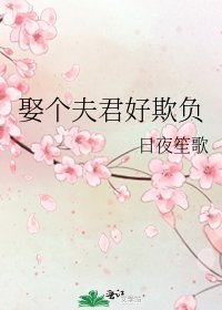 《娶个夫君好欺负》