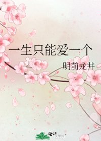 《一生只能爱一个》