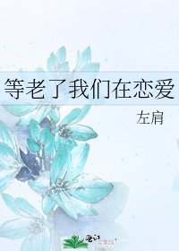 《等老了我们在恋爱》