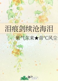 《泪痕剑续沧海泪》