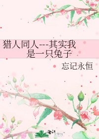 《猎人同人---其实我是一只兔子》