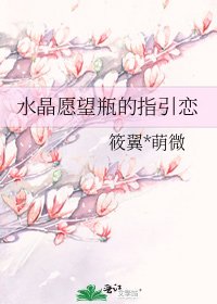 《水晶愿望瓶的指引恋》